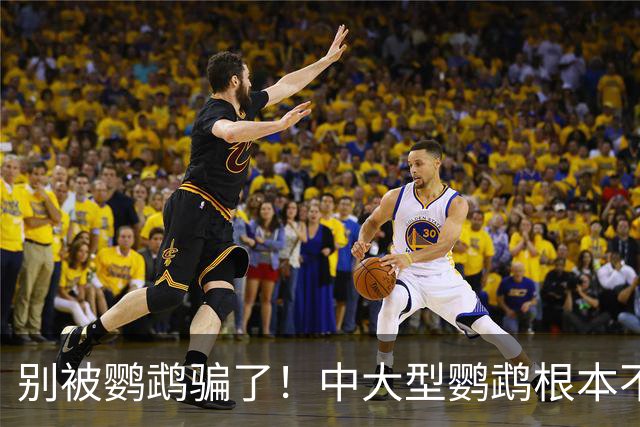 别被鹦鹉骗了！中大型鹦鹉根本不是宠物，是会飞的野生猛禽！