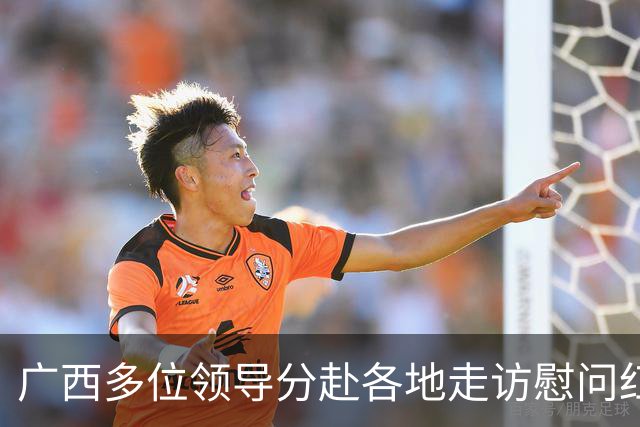 广西多位领导分赴各地走访慰问红军失散人员