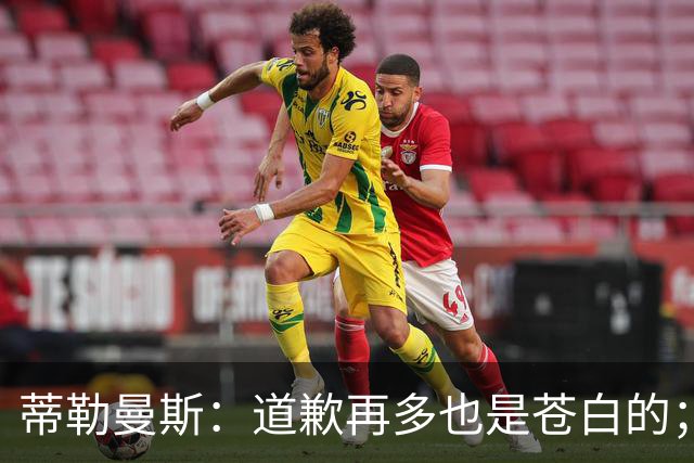 蒂勒曼斯：道歉再多也是苍白的；我们几乎所有环节都脱节了